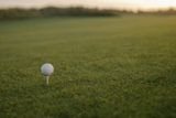 How Does Course Management Affect Your Golf Game?